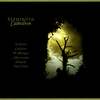 Sephiroth - Cathedron